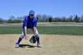 Young infield baseball player