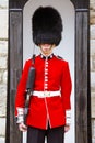 Young Irish Guard at the Tower of London
