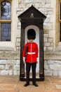 Young Irish Guard at the Tower of London