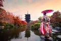 Young Japanese girl traveller in traditional kimino dress standing in Toji temple with wooden pagoda and red maple leaf in autumn