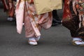 Young Japanese traditional Kimono for the coming of age day celebration. Royalty Free Stock Photo