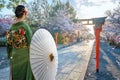 Young Japanese woman in traditional Kimono dress strolls in Hirano-jinja Shrine during full bloom cherry blossom