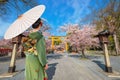 Young Japanese woman in traditional Kimono dress strolls at Hirano-jinja Shrine during full bloom cherry blossom