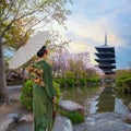 Young Japanese woman in traditional Kimono dress at Toji Temple in Kyoto, Japan with beautiful full bloom cherry blossom