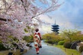 Young Japanese woman in traditional Kimono dress at Toji Temple in Kyoto, Japan with beautiful full bloom cherry blossom Royalty Free Stock Photo