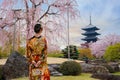 Young Japanese woman in traditional Kimono dress at Toji Temple in Kyoto, Japan with beautiful full bloom cherry blossom