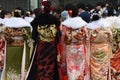 Young Japanese women wearing traditional Kimono Royalty Free Stock Photo