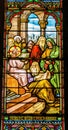 Young Jesus Teaching Temple Stained Glass Notre Dame Nice France