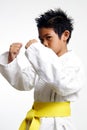 Young Karate Kid Royalty Free Stock Photo