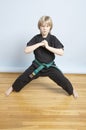Young Karate student Royalty Free Stock Photo