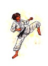 Young karate woman kick The Power of Karate-Do, 2017