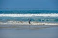 Young kid at the beach enjoying the waves