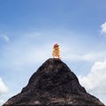 Young kid chick baby standing on top peak of mountain abstract f Royalty Free Stock Photo