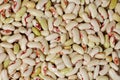 Young Kidney Beans Background