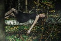 A young kind witch in a black dress with a black mask in a mystical forest in various poses. Art processing Royalty Free Stock Photo