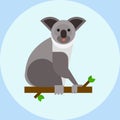 Young koala sitting on tree branch australia bear cute mammal peaceful relaxation nature vector Royalty Free Stock Photo