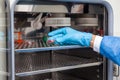 Researcher introducing a petri dish into an incubator