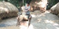 A Young Lady Enjoying Peddy Farming in her Home