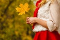 Young lady holding leaf. Royalty Free Stock Photo