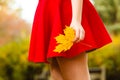Young lady holding leaf. Royalty Free Stock Photo