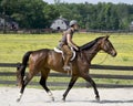 Young lady horseback riding