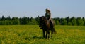 Young lady with loose hair rides black horse on flower field