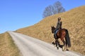 A young lady taking a ride on a horse