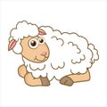Young Lamb. Cartoon character Lamb isolated on white background. Template of cute farm animal. Education card for kids Royalty Free Stock Photo