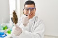 Young latin man scientist looking cannabis herb with loupe at laboratory