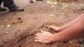 Young Latino teen planting trees in front of people on a dirt road in Nicaragua
