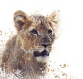 Young Lion watercolor