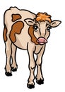Young little calf sad character looking sad Royalty Free Stock Photo