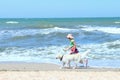 Young Little Girl And Golden Retriever Dog Running On The Beach. Dog And Owner Outdoors. Royalty Free Stock Photo