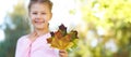 Young little girl hold fall leaves in hands. Red, gree and yellow leaf. Autumn nature outdoor city Royalty Free Stock Photo