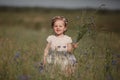 Young little girl with long hair, white dress lonely walking in the poppy field and collecting flowers for a bouquet Royalty Free Stock Photo