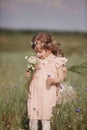 Young little girl with long hair, white dress lonely walking in the poppy field and collecting flowers for a bouquet Royalty Free Stock Photo