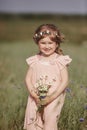 Young little girl with long hair, white dress lonely walking in the poppy field and collecting flowers for a bouquet Royalty Free Stock Photo