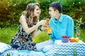 Young lovers have a couple on the picnic. The guy and the girl d Royalty Free Stock Photo