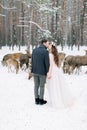 Young loving beautiful wedding couple kissing and holding hands, outdoor in winter in a stylish wedding clothes. Deer on Royalty Free Stock Photo