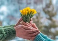 Young loving couple holding hands each other with bouquet of yellow flowers in summer park, view of hands Royalty Free Stock Photo