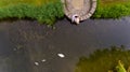 Young loving couple sitting by the water with swans. Royalty Free Stock Photo