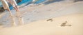 Young loving couple on wedding day on tropical beach Royalty Free Stock Photo