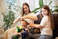 Young loving mom making ponytail to little preschool daughter and adult sister in living room. Mother helping child girl Royalty Free Stock Photo