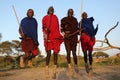 Young Maasai warrior in Loitoktok, Kenya.