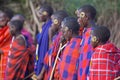 Young Maasi Mara initiates, Kenya Royalty Free Stock Photo