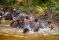 Young malaysians bath with baby elephants
