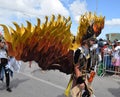 young male in a beautiful birdlike feathery costume during Carnaval Curacao 2023