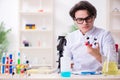 Young male biochemist working in the lab Royalty Free Stock Photo