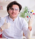 Young male biochemist working in the lab Royalty Free Stock Photo