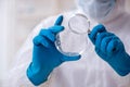 Young male chemist working in the lab Royalty Free Stock Photo